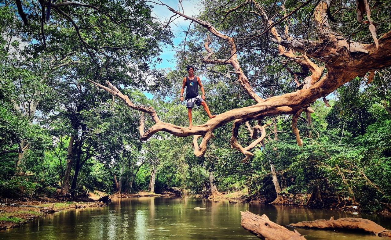 Humbhaha Jungle Yala Nature Eco Resort Kataragama Buitenkant foto