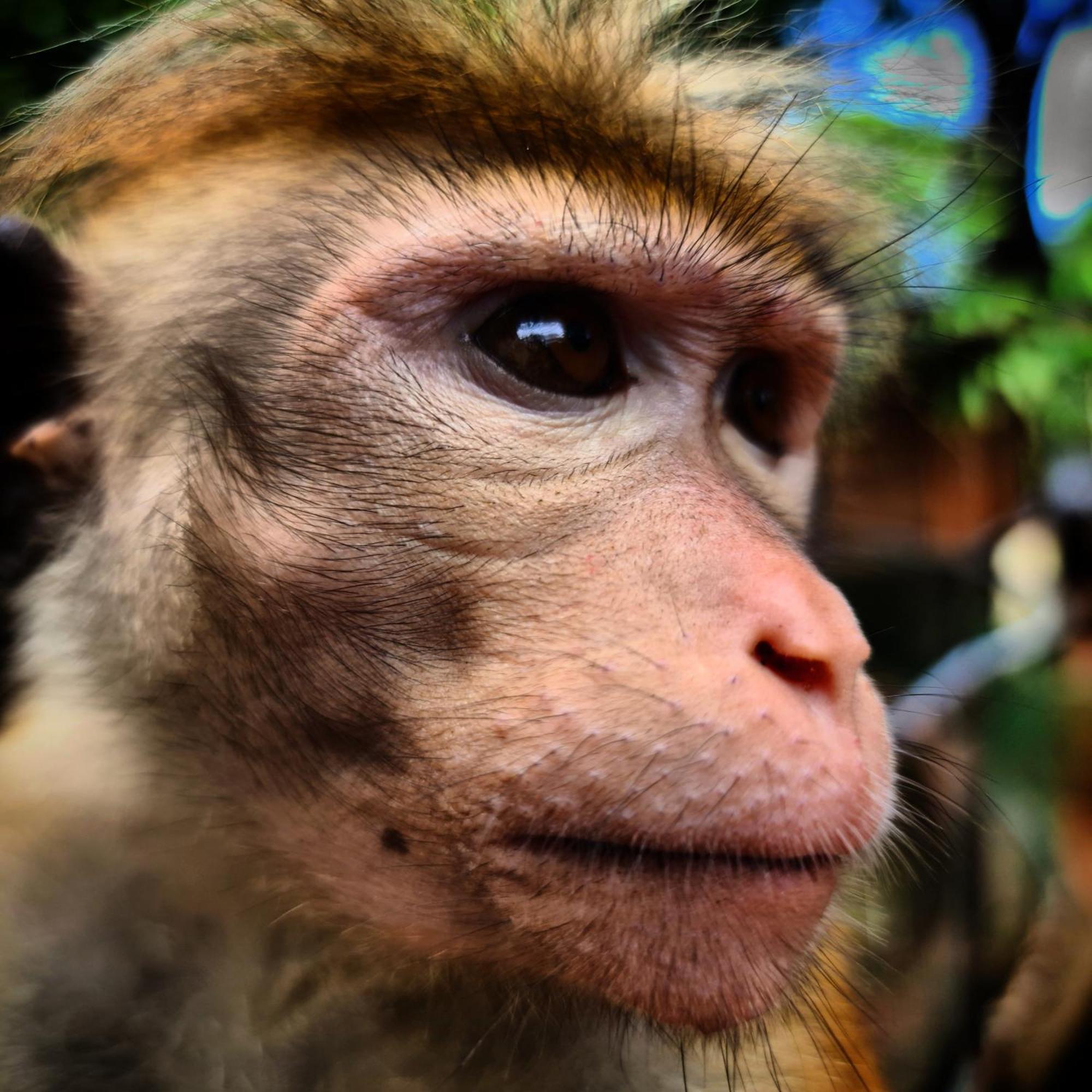 Humbhaha Jungle Yala Nature Eco Resort Kataragama Buitenkant foto