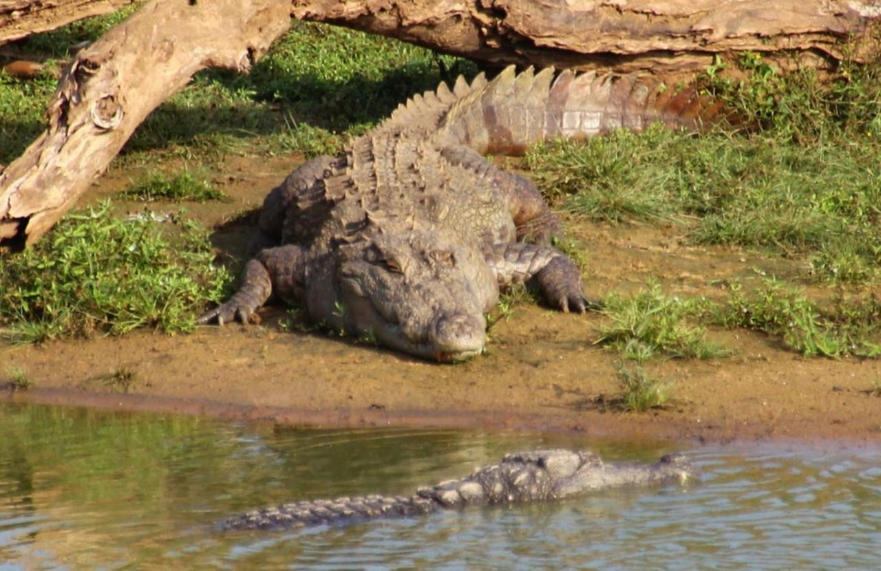 Humbhaha Jungle Yala Nature Eco Resort Kataragama Buitenkant foto