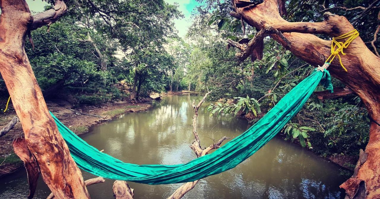 Humbhaha Jungle Yala Nature Eco Resort Kataragama Buitenkant foto