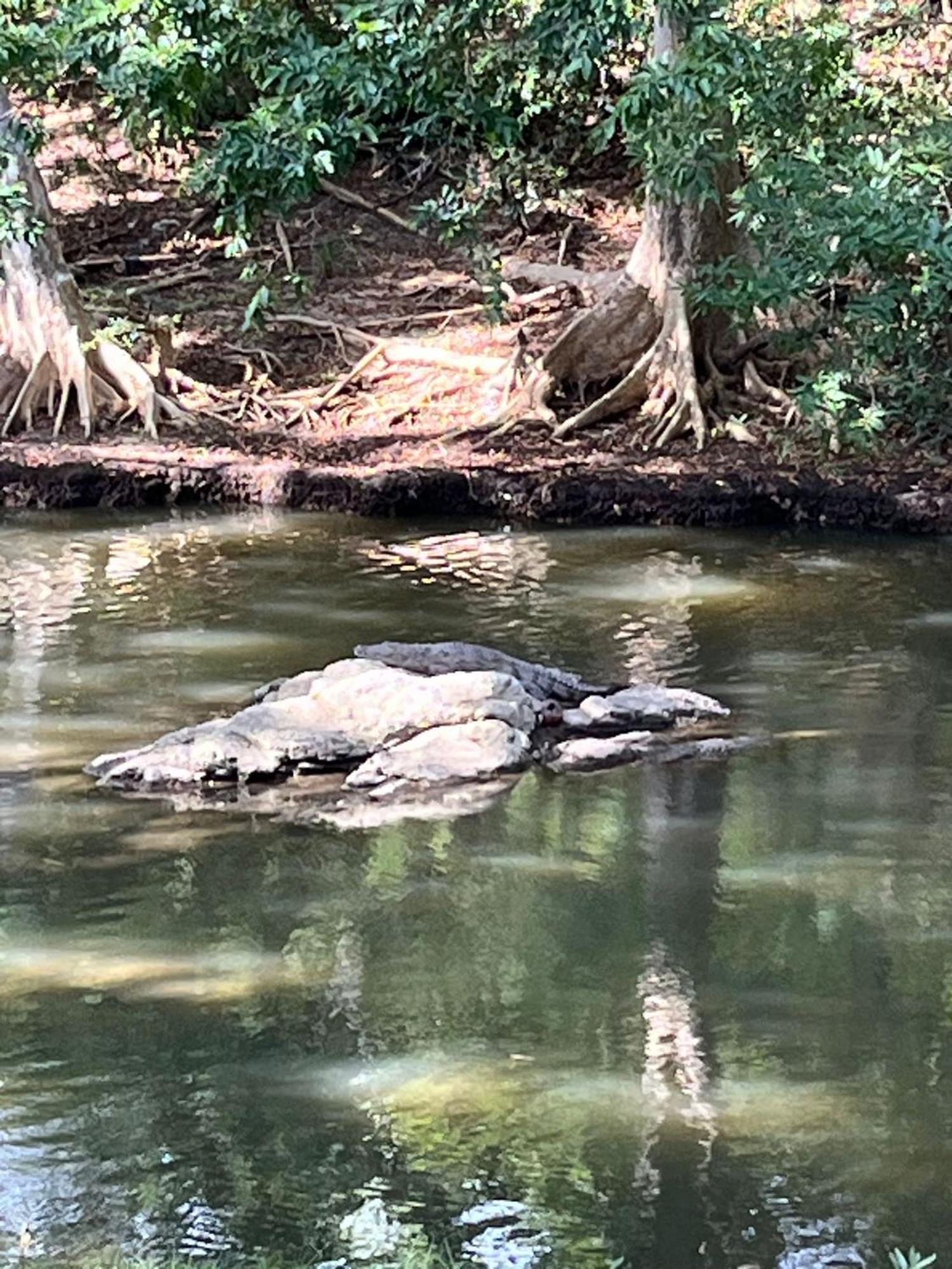 Humbhaha Jungle Yala Nature Eco Resort Kataragama Buitenkant foto