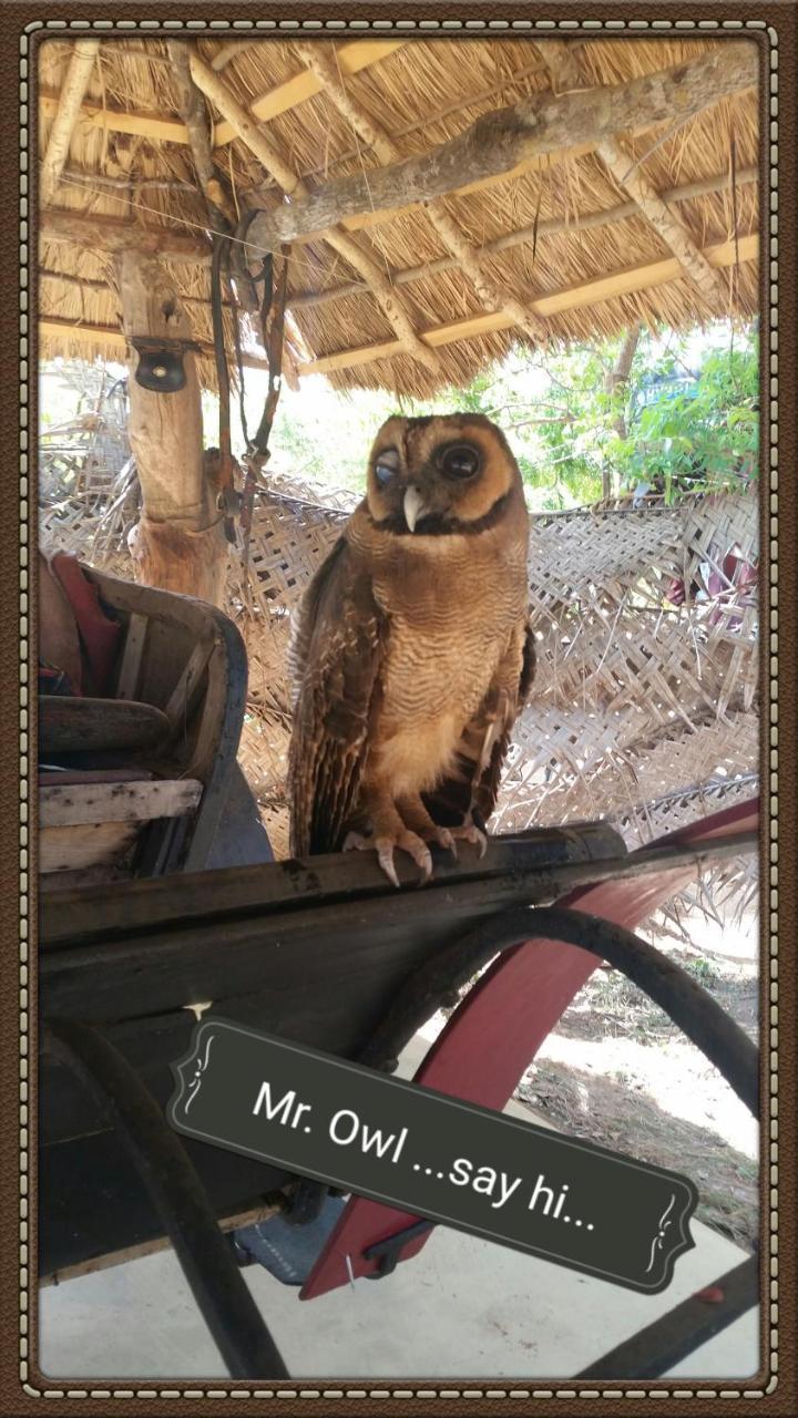 Humbhaha Jungle Yala Nature Eco Resort Kataragama Buitenkant foto